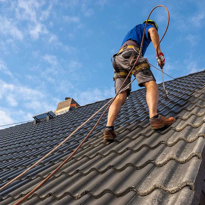 6 Things To Consider When Choosing Roof Painters
